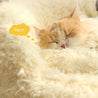 Detachable Plush Pads Anti Slip Bottom Raised Edges Cat Litter Winter Warm Nest White