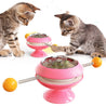 Cats Kitten Cat Accessories Pet Products