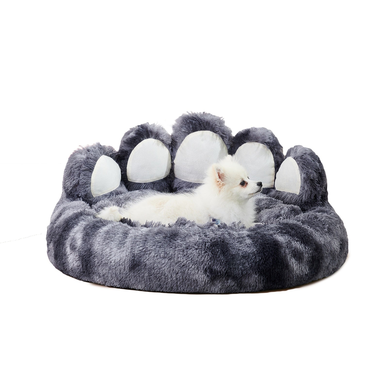 Cute Dog Bear Paw Shape Dog Bed, Dog Beds & Furniture