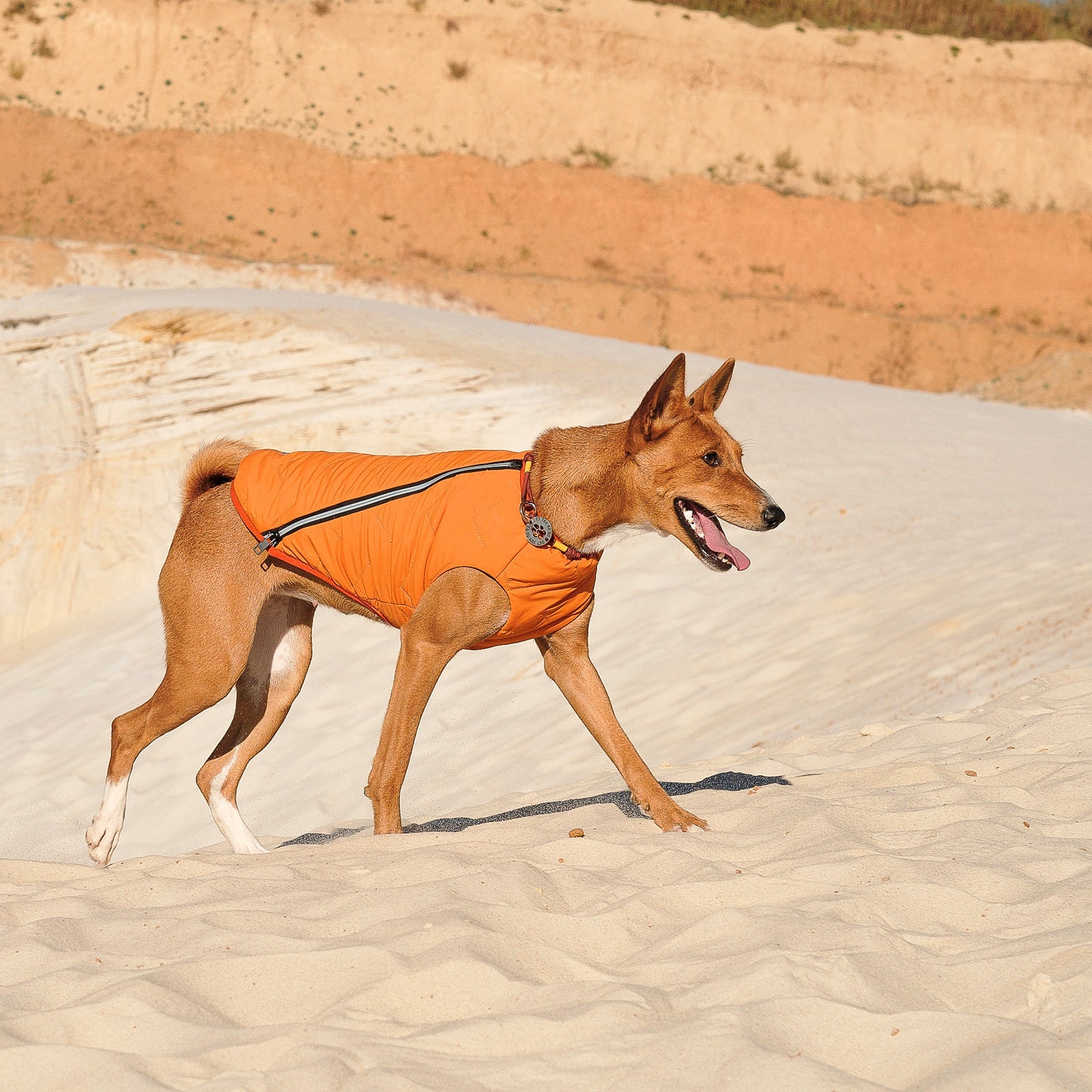 Sustainable Eco-Friendly Dog Jacket / Vest - Made