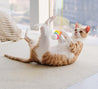 -hey Interactive Toy Rope Grabbing Mouse Telescopic Hanging Cat Pet Supplies