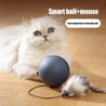 Pets Cat Dog Electric Teaser Ball Automatic Intelligent Rolling Ball Pet Products