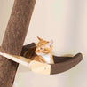 Solid Wood Large Cat Climbing Frame Cat Litter Cat Tree