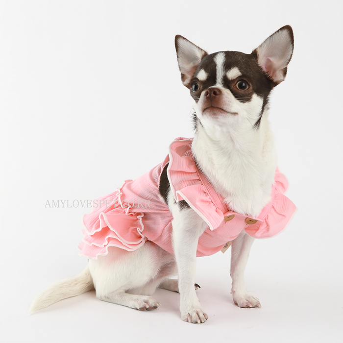 Fashionable Dog Clothing