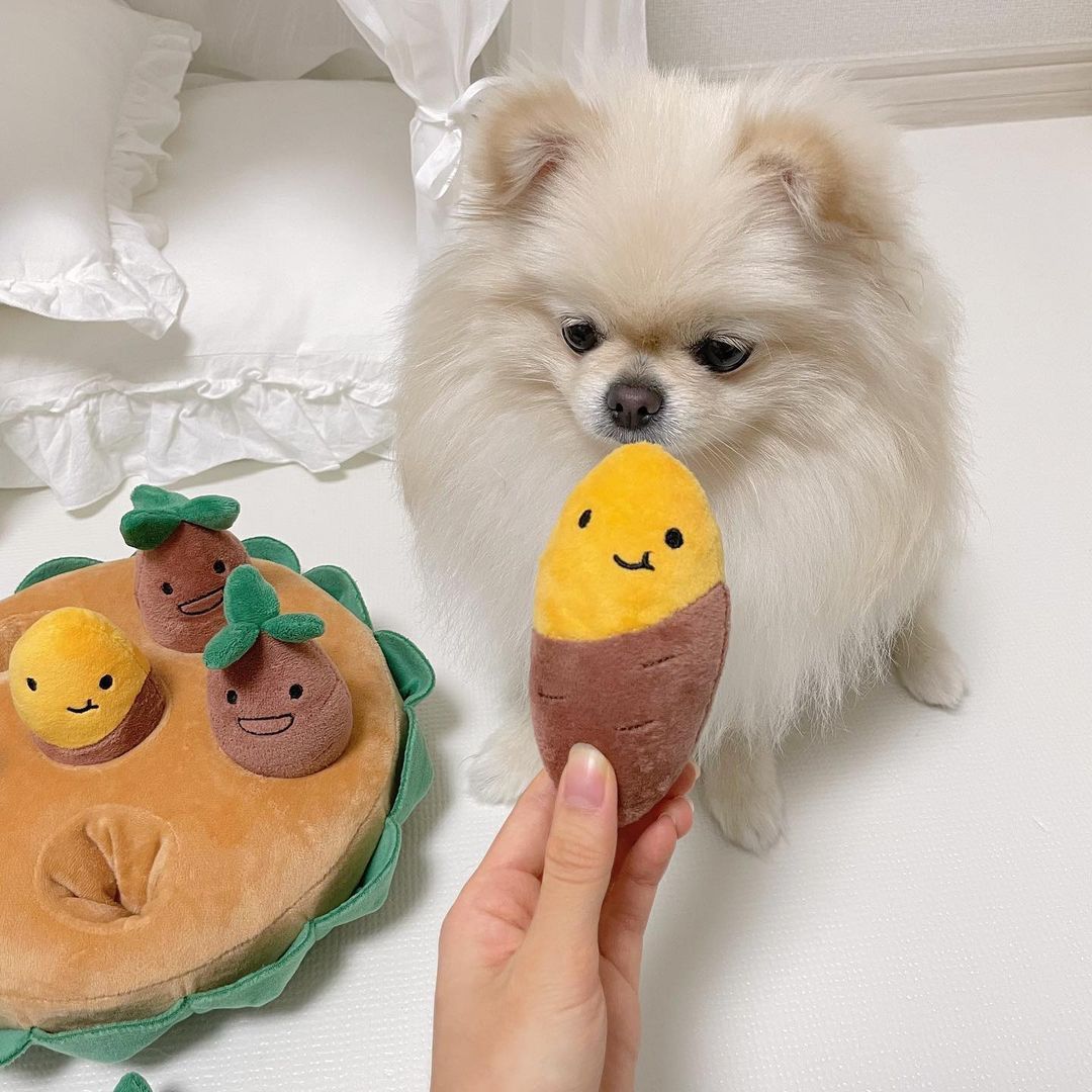 Sweet Potato Set Pet Toys