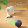 Pets Cat Dog Electric Teaser Ball Automatic Intelligent Rolling Ball Pet Products