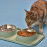 -slip Stainless Steel Feeder Cat Bowl