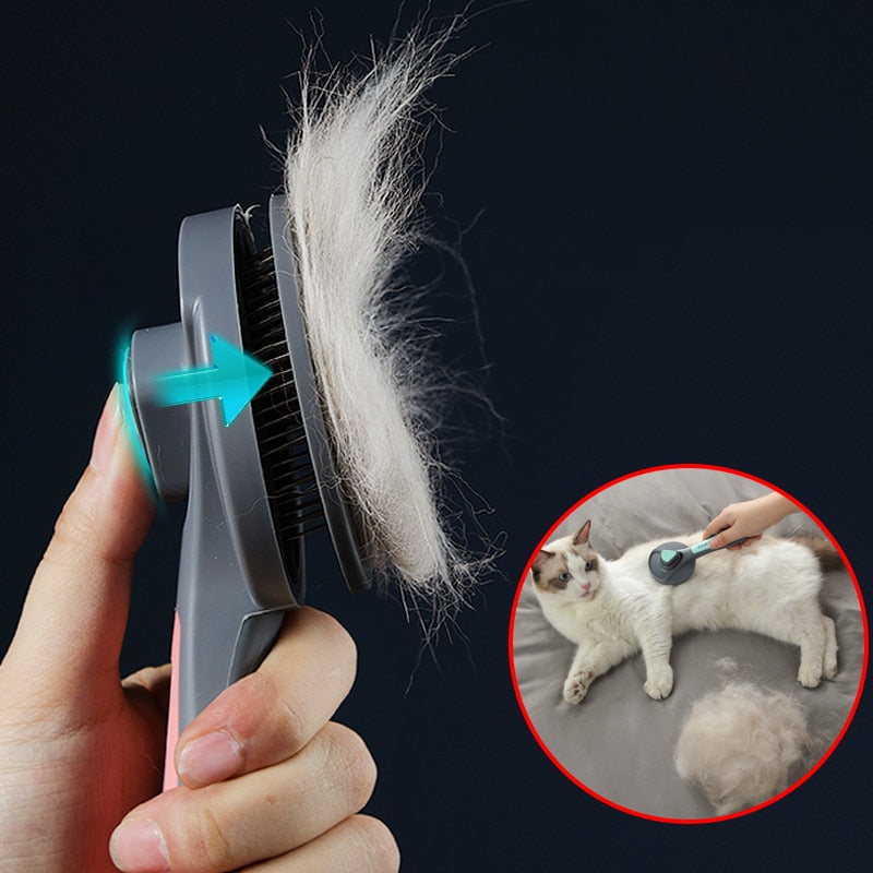 Cat Comb Brush