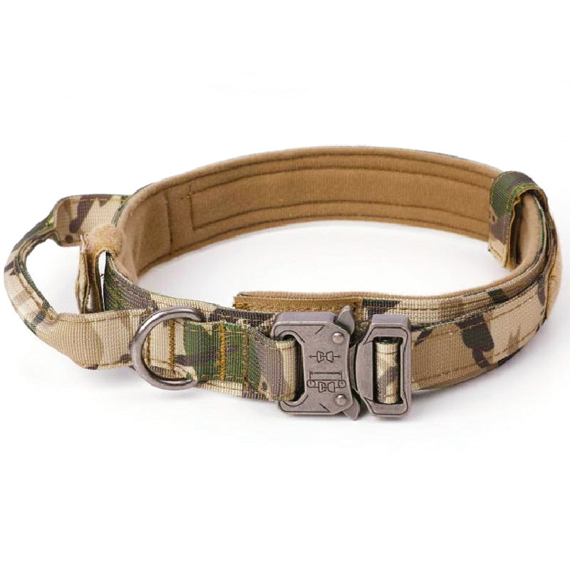 Dog Training Collar Adjustable