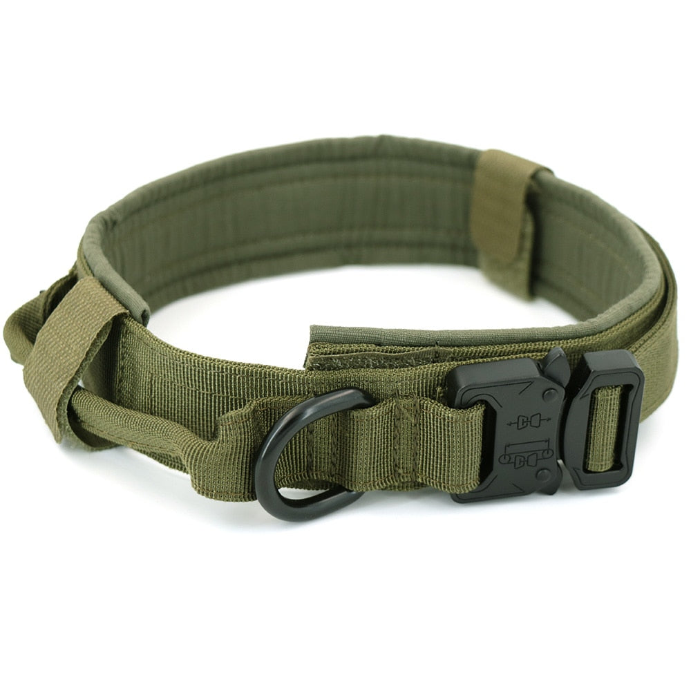 Dog Training Collar Adjustable