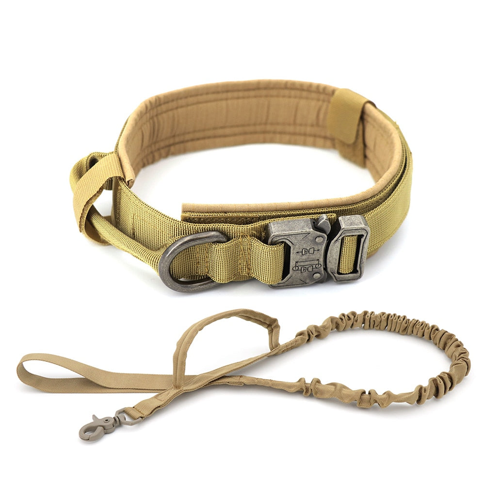 Dog Training Collar Adjustable