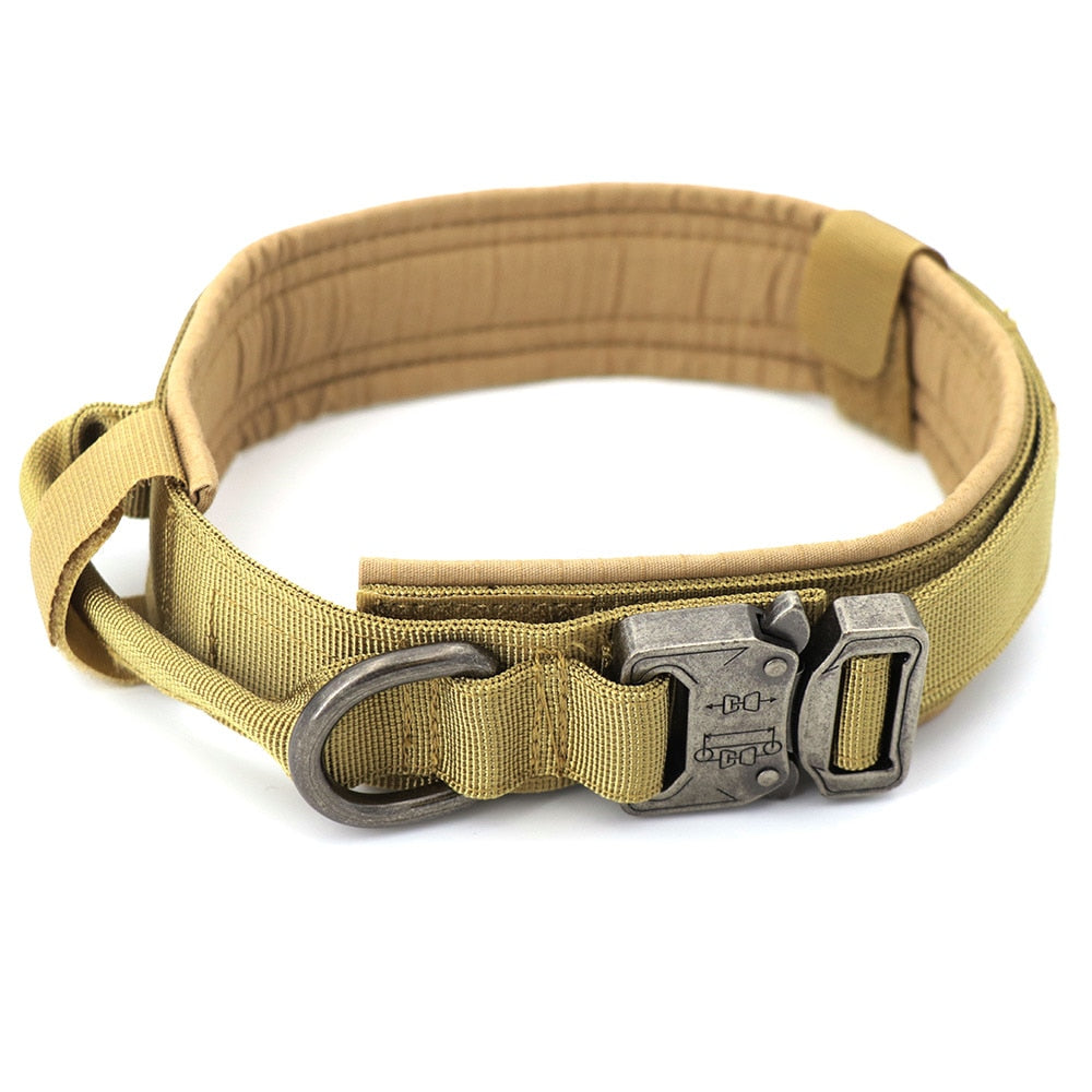 Dog Training Collar Adjustable